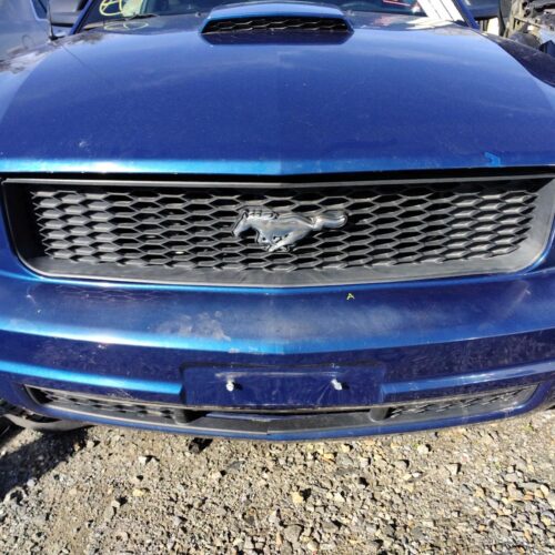 2008 FORD MUSTANG GRILLE – 1003046797